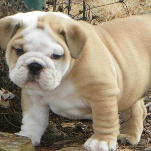 Meet your Posher, Beverly